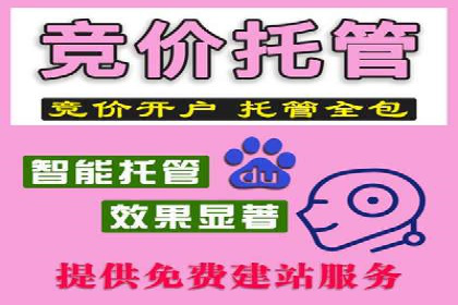 揭秘百度竞价广告：实战案例分析及优化策略